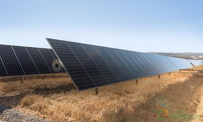 蘋果再邁綠色能源步伐 投資內華達州打造200兆瓦太陽能發電場