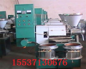 新會新型全自動液壓杏仁榨油機廠家批發