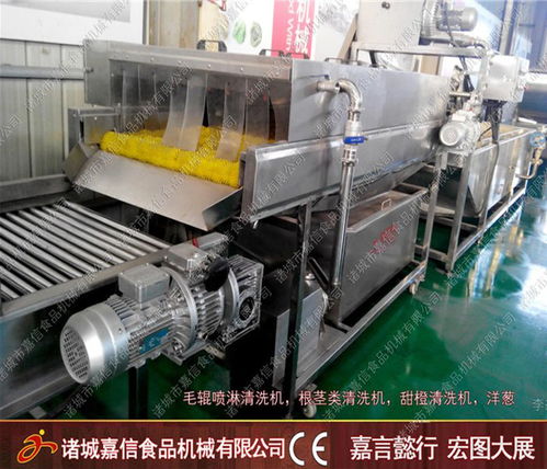 白菜氣泡清洗加工機(jī)一站式服務(wù)專(zhuān)業(yè)團(tuán)隊(duì)在線(xiàn)服務(wù)