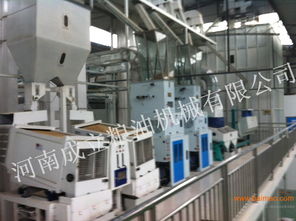 大米加工設(shè)備 成立機(jī)械提供整套加工工藝,大米加工設(shè)備 成立機(jī)械提供整套加工工藝生產(chǎn)廠家,大米加工設(shè)備 成立機(jī)械提供整套加工工藝價(jià)格
